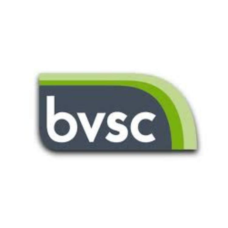 Birmingham Voluntary Services Council