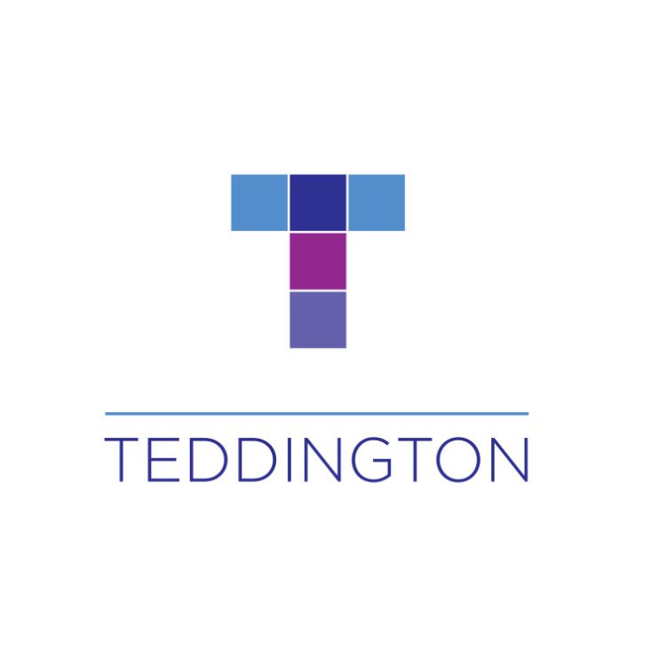 Teddington Appliance Controls
