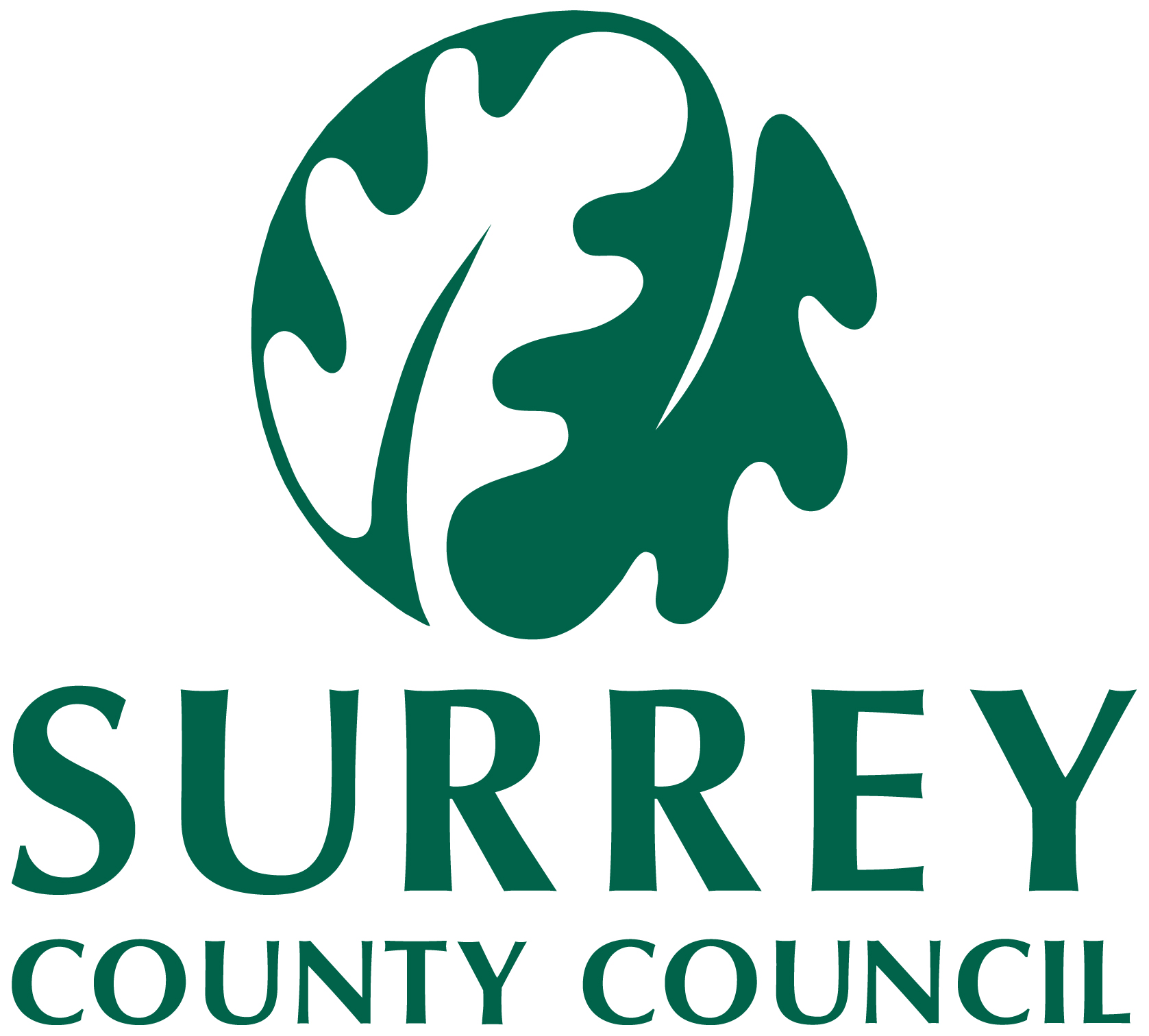 Surrey Councy Council - host partner